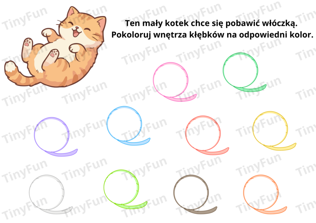 zabawa z kotkami. kolory